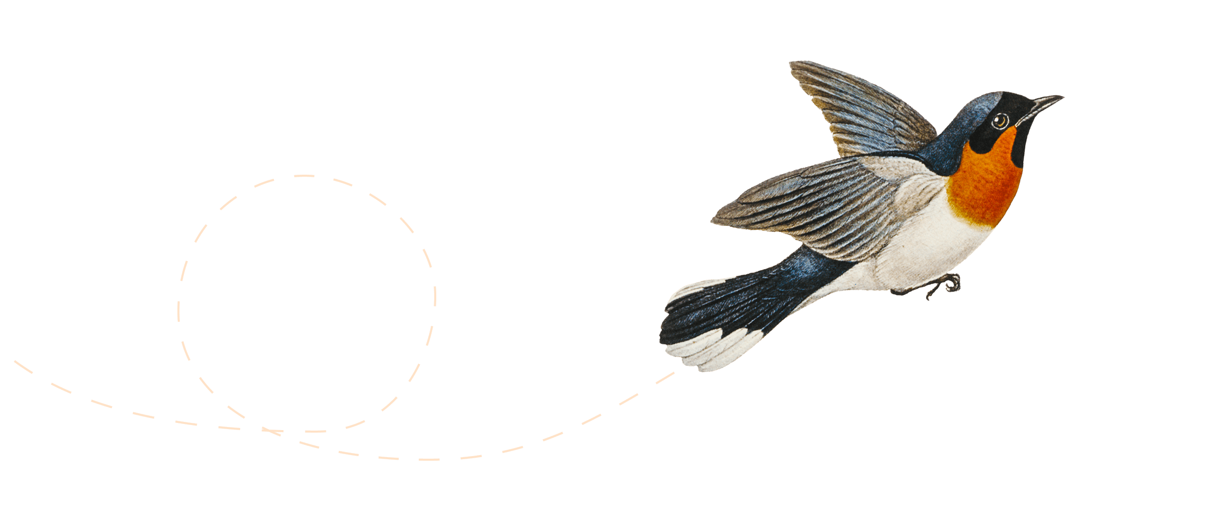 Ilustração de um pássaro voando.